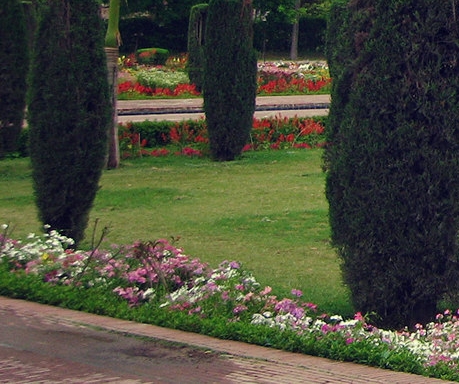 衢州正规粉象生活邀请码