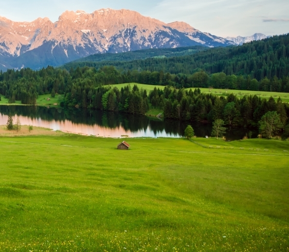 粉象生活淘客优惠券