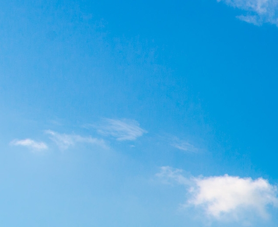 粉象生活保鲜技巧