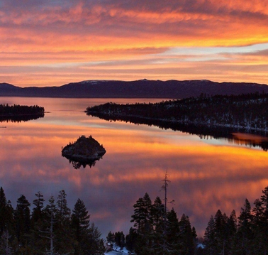 粉象生活VIP总结