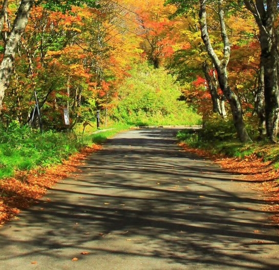 佛山粉象生活使用教程