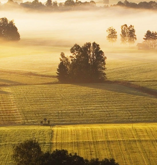 粉象生活和淘宝什么关系