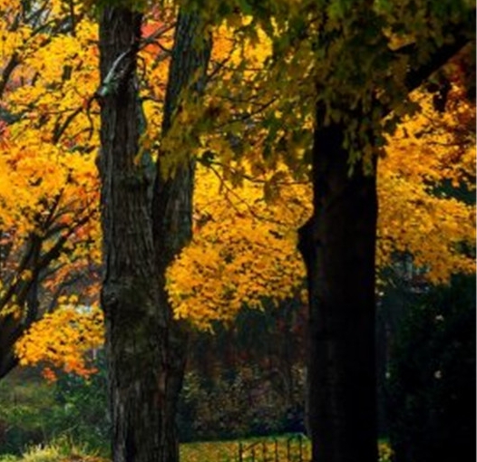 粉象生活可以赚钱吗