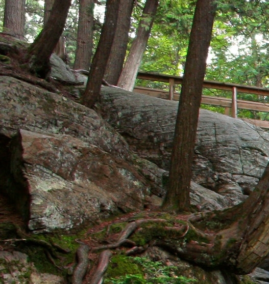 用粉象买东西安全吧