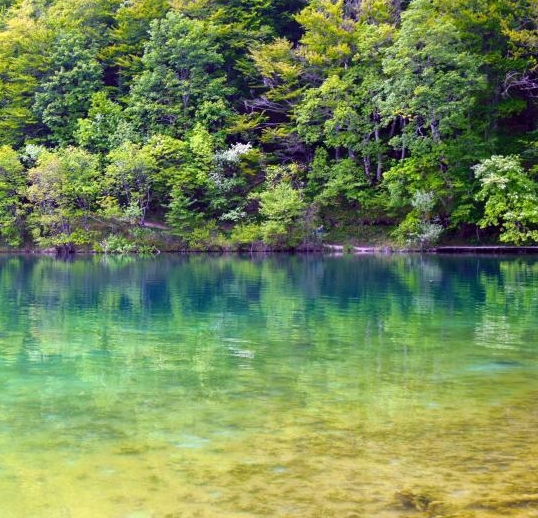 粉象生活可以赚钱吗