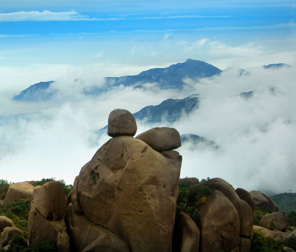 粉象生活代理模式