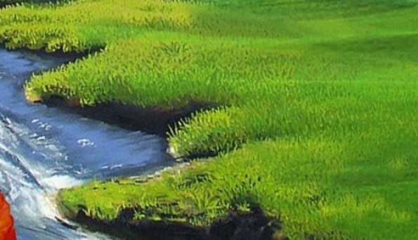 粉丝生活山东运营店