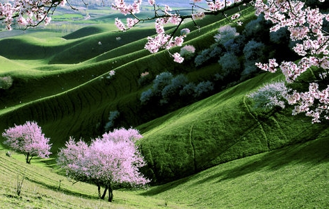 粉象生活赚钱靠谱吗