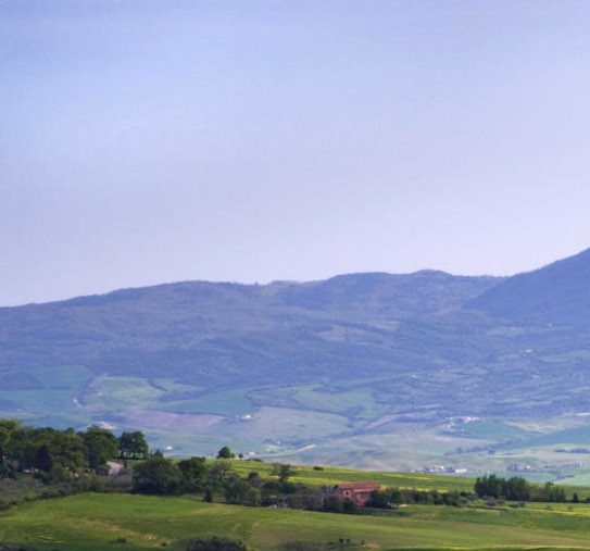 江西加盟粉象生活赚钱么