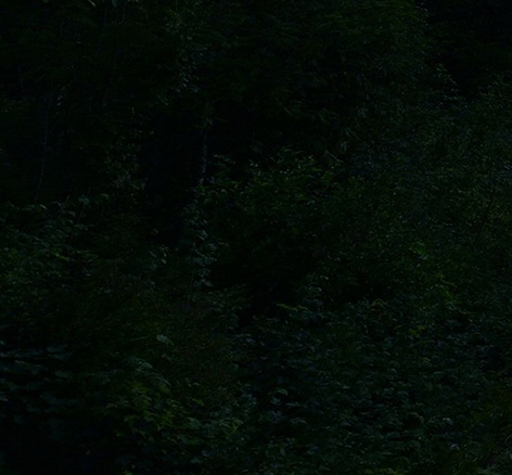 粉象生活投诉平台