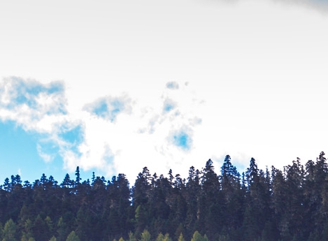 粉象生活蔬菜怎么保鲜