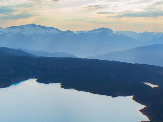 粉象生活上线没有