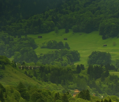 粉象生活有加油优惠