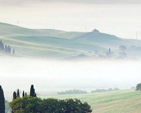 粉象生活开通VIP有什么好处