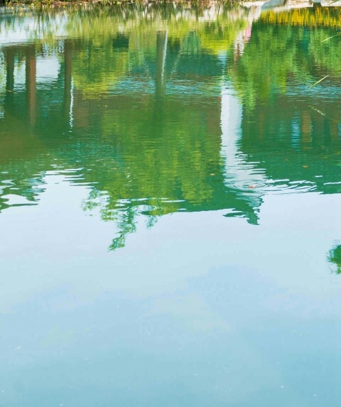 粉象生活如何加入微信