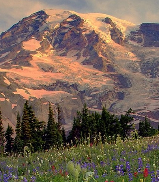 怎样把粉象生活分享朋友圈