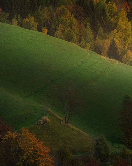 怎么更换粉象生活邀请人