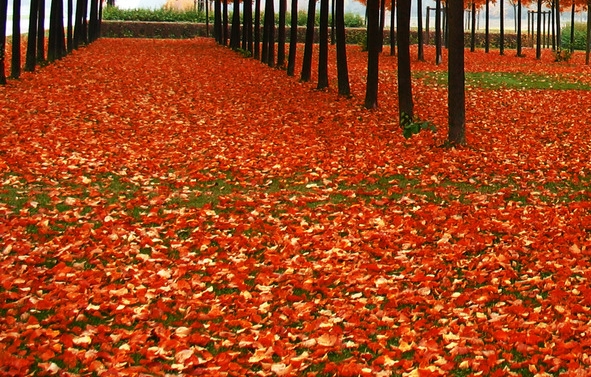 粉象生活返利在哪