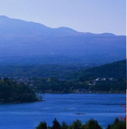 粉象生活怎么关闭自动付款