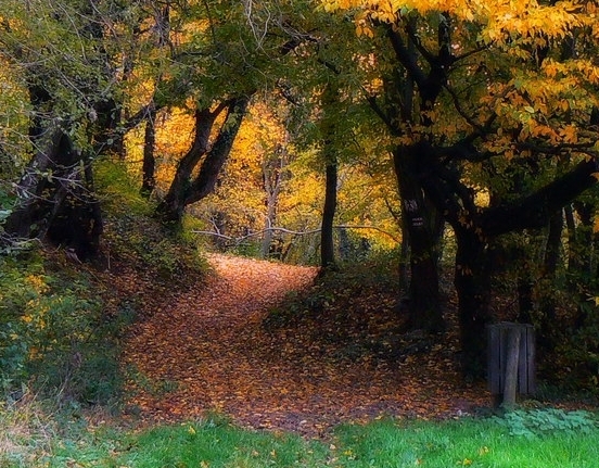 粉象生活如何推广引流