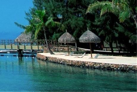 粉象生活怎么赚钱的