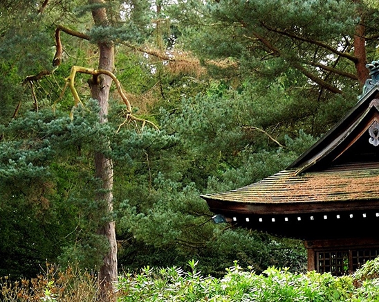 一淘和粉象生活哪个返利高