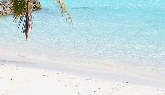 高佣联盟好还是粉象生活