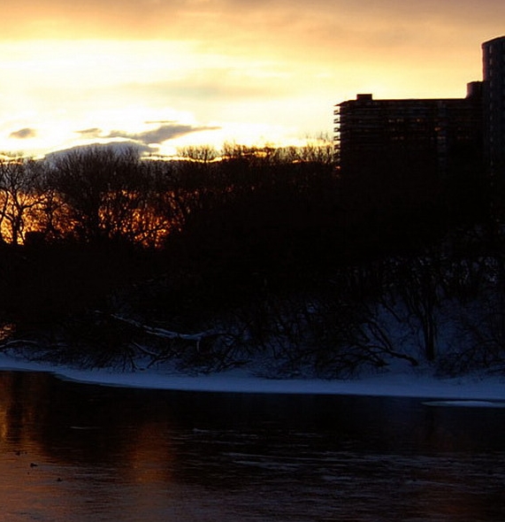 粉象生活app下载