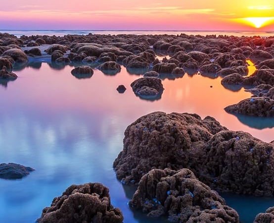 什么是粉象生活的淘宝客