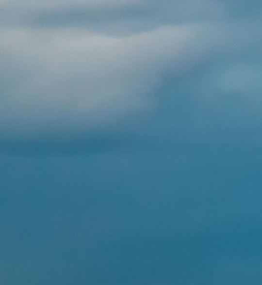 手机壳粉象生活