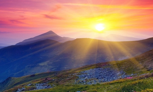 粉象生活邀请码填哪个好