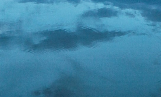 粉象生活下载app