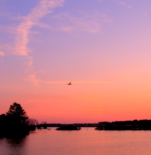 粉象生活服务中心