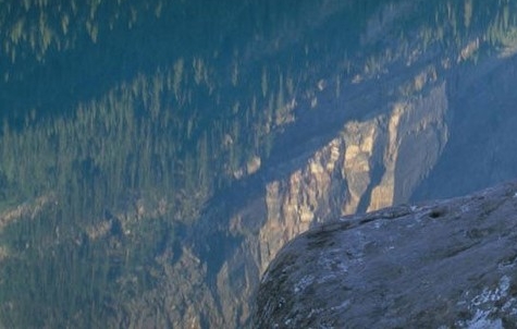 如何向别人介绍粉象生活