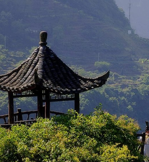 粉象生活365会员费