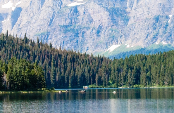 粉象生活学生党