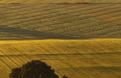 粉象生活邀请码