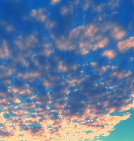 粉象生活怎么赚钱