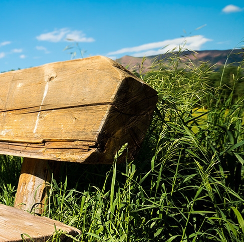 漳州粉象生活收入