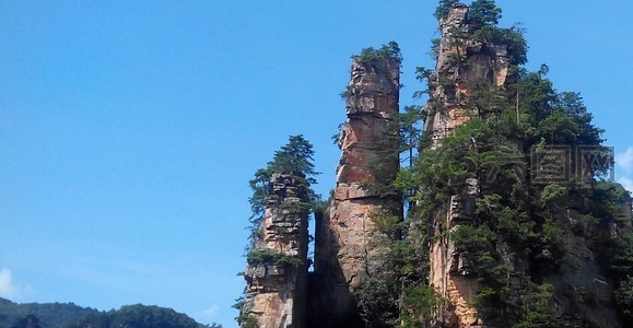 粉象生活天天乐