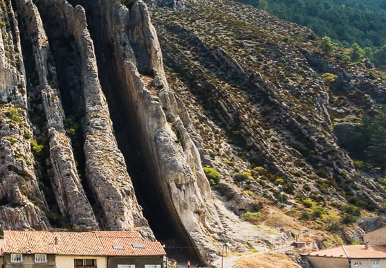 粉象生活好友排行