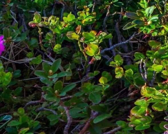 五象一站式生活购物中心