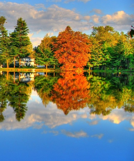 粉象生活赚钱教程