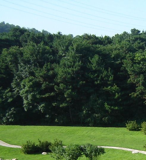 汕尾粉象生活推广