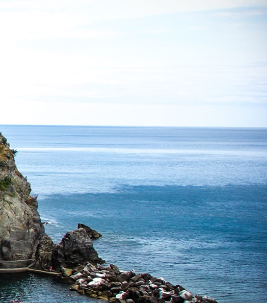 一站式粉象生活靠谱么