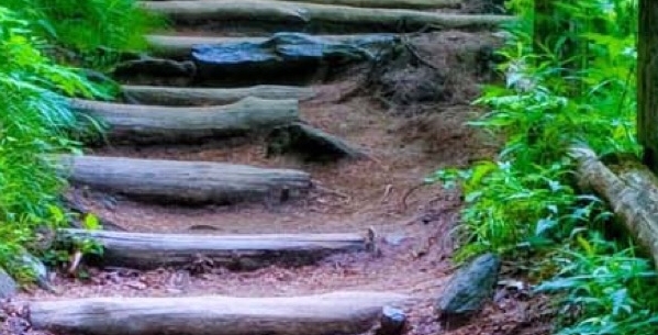 广东粉象生活合伙人