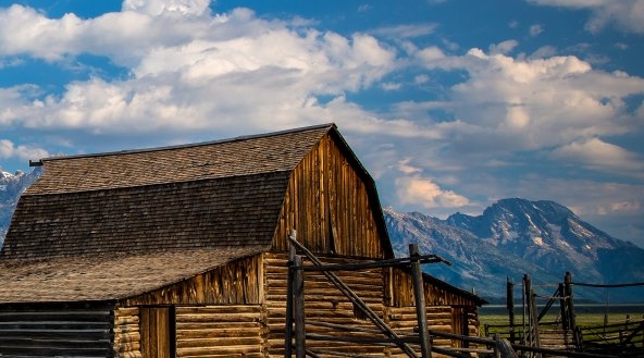 粉象生活新手怎么做