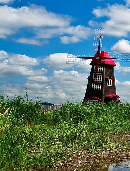 粉象生活365会员费