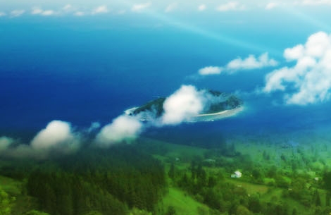 金华粉象生活加盟粉象生活