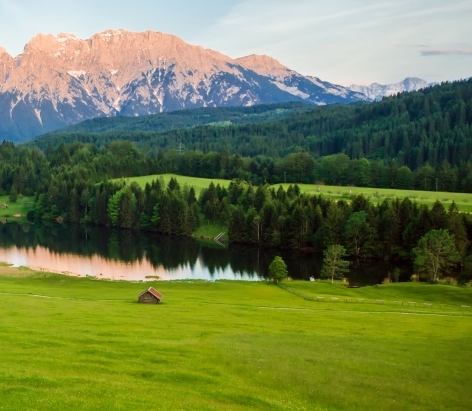 粉象生活赚钱教程